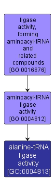 GO:0004813 - alanine-tRNA ligase activity (interactive image map)
