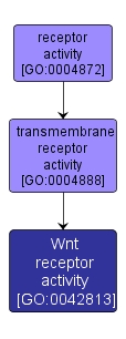 GO:0042813 - Wnt receptor activity (interactive image map)