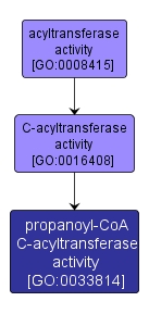 GO:0033814 - propanoyl-CoA C-acyltransferase activity (interactive image map)