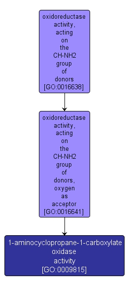 GO:0009815 - 1-aminocyclopropane-1-carboxylate oxidase activity (interactive image map)