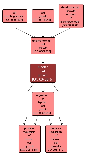 GO:0042815 - bipolar cell growth (interactive image map)