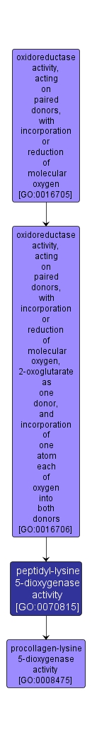 GO:0070815 - peptidyl-lysine 5-dioxygenase activity (interactive image map)
