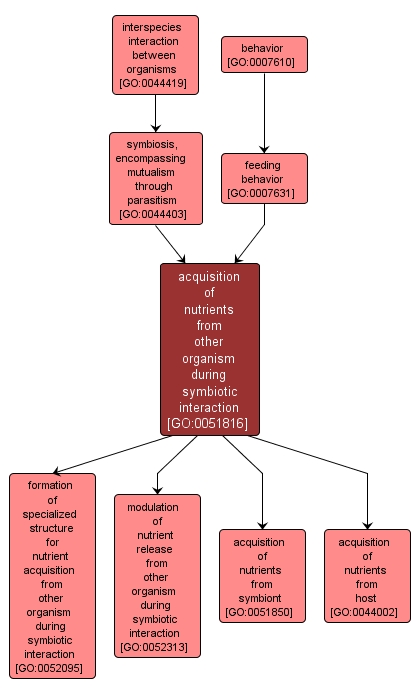 GO:0051816 - acquisition of nutrients from other organism during symbiotic interaction (interactive image map)