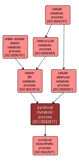 GO:0042817 - pyridoxal metabolic process (interactive image map)