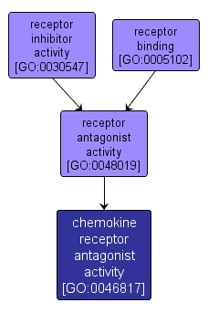 GO:0046817 - chemokine receptor antagonist activity (interactive image map)