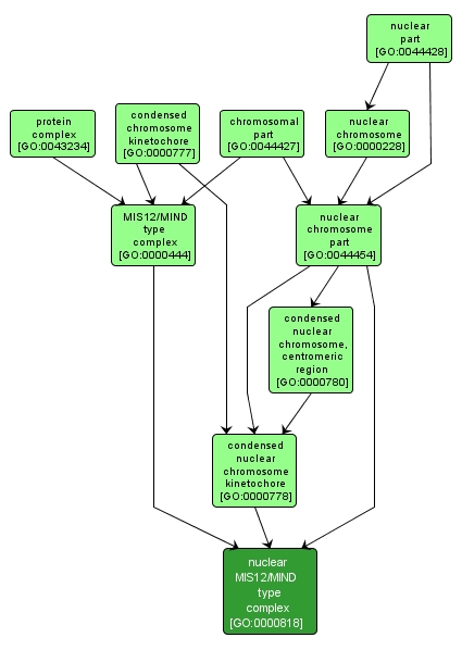 GO:0000818 - nuclear MIS12/MIND type complex (interactive image map)