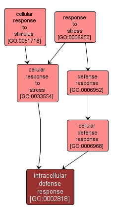 GO:0002818 - intracellular defense response (interactive image map)