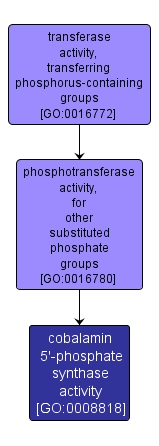 GO:0008818 - cobalamin 5'-phosphate synthase activity (interactive image map)