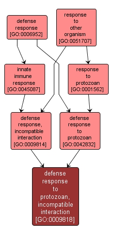 GO:0009818 - defense response to protozoan, incompatible interaction (interactive image map)