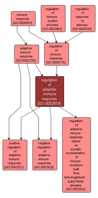 GO:0002819 - regulation of adaptive immune response (interactive image map)