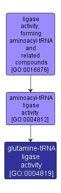 GO:0004819 - glutamine-tRNA ligase activity (interactive image map)