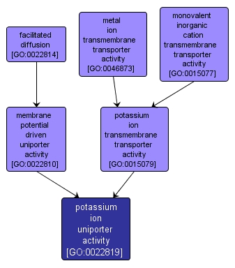 GO:0022819 - potassium ion uniporter activity (interactive image map)