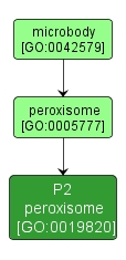 GO:0019820 - P2 peroxisome (interactive image map)