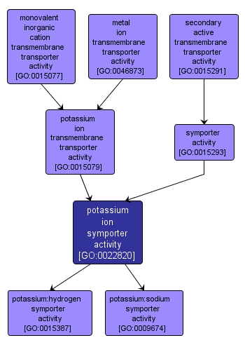 GO:0022820 - potassium ion symporter activity (interactive image map)