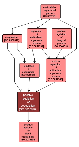 GO:0050820 - positive regulation of coagulation (interactive image map)
