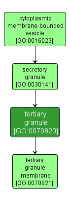 GO:0070820 - tertiary granule (interactive image map)