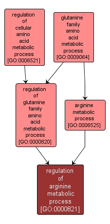 GO:0000821 - regulation of arginine metabolic process (interactive image map)