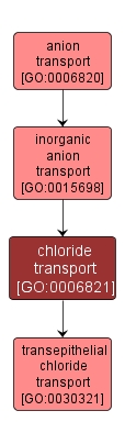 GO:0006821 - chloride transport (interactive image map)