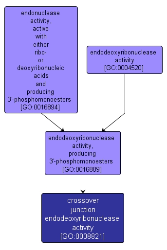 GO:0008821 - crossover junction endodeoxyribonuclease activity (interactive image map)