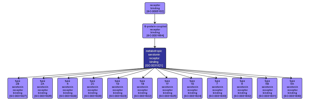 GO:0031821 - metabotropic serotonin receptor binding (interactive image map)