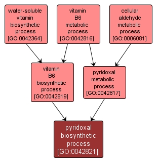 GO:0042821 - pyridoxal biosynthetic process (interactive image map)