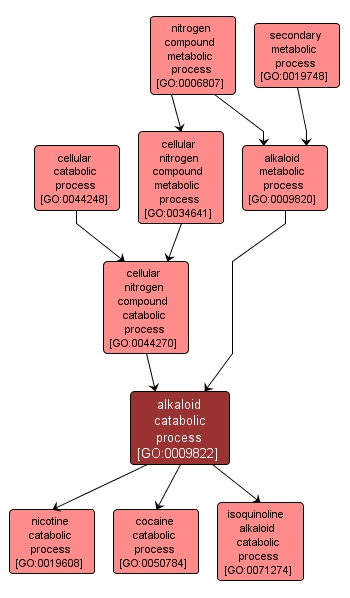 GO:0009822 - alkaloid catabolic process (interactive image map)