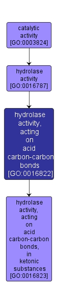 GO:0016822 - hydrolase activity, acting on acid carbon-carbon bonds (interactive image map)