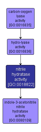 GO:0018822 - nitrile hydratase activity (interactive image map)