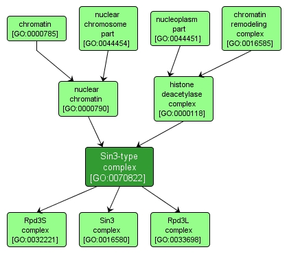 GO:0070822 - Sin3-type complex (interactive image map)