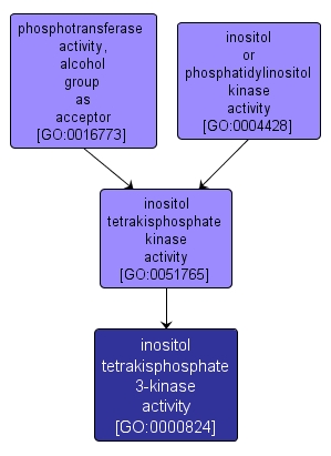 GO:0000824 - inositol tetrakisphosphate 3-kinase activity (interactive image map)