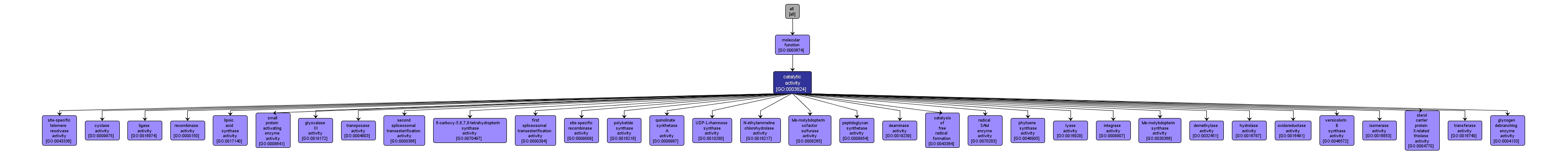 GO:0003824 - catalytic activity (interactive image map)