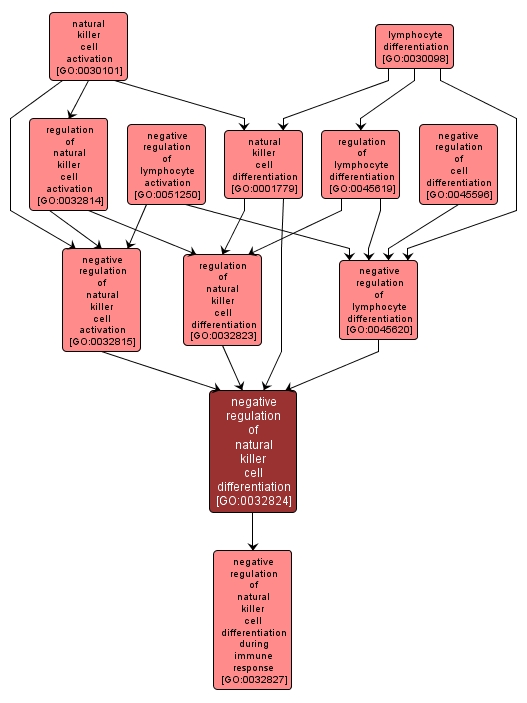 GO:0032824 - negative regulation of natural killer cell differentiation (interactive image map)