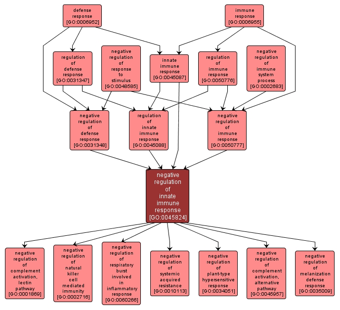 GO:0045824 - negative regulation of innate immune response (interactive image map)