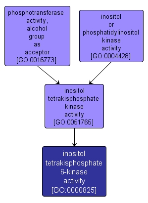 GO:0000825 - inositol tetrakisphosphate 6-kinase activity (interactive image map)