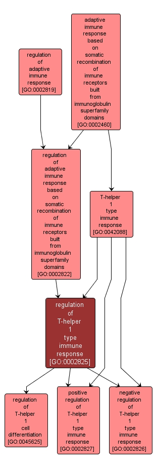 GO:0002825 - regulation of T-helper 1 type immune response (interactive image map)