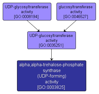 GO:0003825 - alpha,alpha-trehalose-phosphate synthase (UDP-forming) activity (interactive image map)