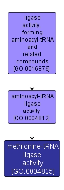 GO:0004825 - methionine-tRNA ligase activity (interactive image map)