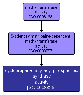 GO:0008825 - cyclopropane-fatty-acyl-phospholipid synthase activity (interactive image map)