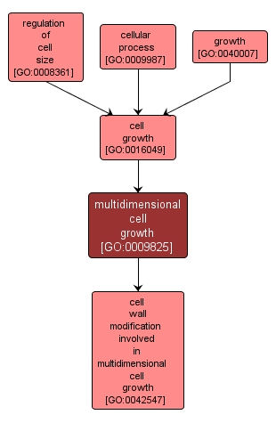 GO:0009825 - multidimensional cell growth (interactive image map)