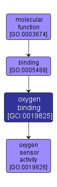 GO:0019825 - oxygen binding (interactive image map)