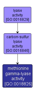 GO:0018826 - methionine gamma-lyase activity (interactive image map)