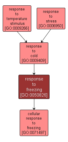 GO:0050826 - response to freezing (interactive image map)