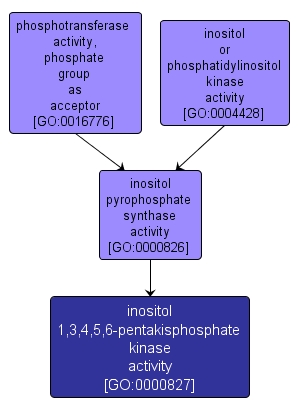 GO:0000827 - inositol 1,3,4,5,6-pentakisphosphate kinase activity (interactive image map)