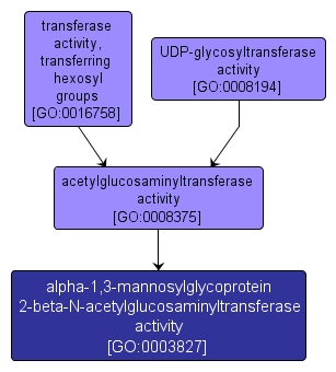 GO:0003827 - alpha-1,3-mannosylglycoprotein 2-beta-N-acetylglucosaminyltransferase activity (interactive image map)