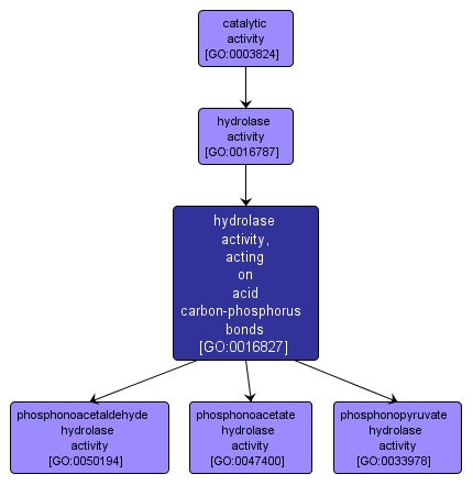 GO:0016827 - hydrolase activity, acting on acid carbon-phosphorus bonds (interactive image map)