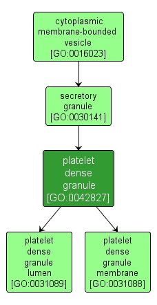 GO:0042827 - platelet dense granule (interactive image map)