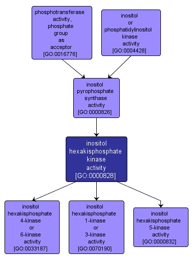 GO:0000828 - inositol hexakisphosphate kinase activity (interactive image map)