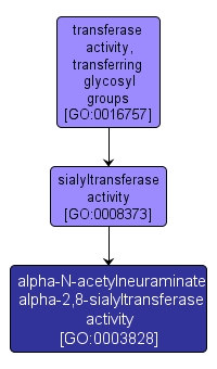 GO:0003828 - alpha-N-acetylneuraminate alpha-2,8-sialyltransferase activity (interactive image map)