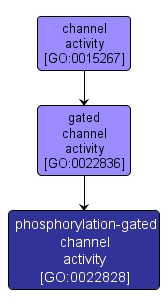 GO:0022828 - phosphorylation-gated channel activity (interactive image map)