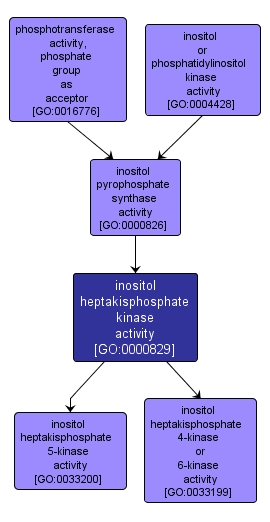 GO:0000829 - inositol heptakisphosphate kinase activity (interactive image map)